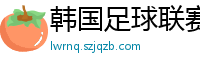 韩国足球联赛